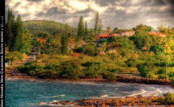 New Caledonia: The Definition of Global Biodiversity