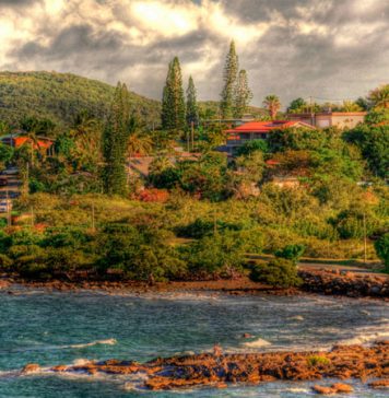 New Caledonia: The Definition of Global Biodiversity