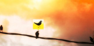 How Online Skills Are Great For The Modern Career Woman