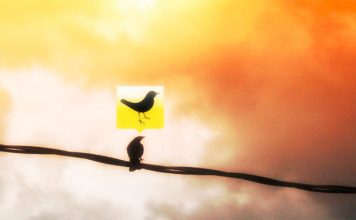 How Online Skills Are Great For The Modern Career Woman