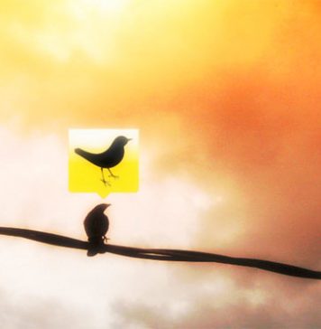 How Online Skills Are Great For The Modern Career Woman