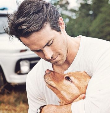 Celebrities Who Gave Homeless Animals a New Home