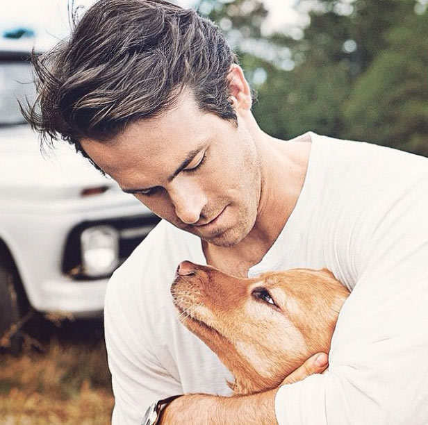 ryan-reynolds