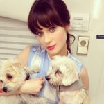 zooey-dechanel-dog