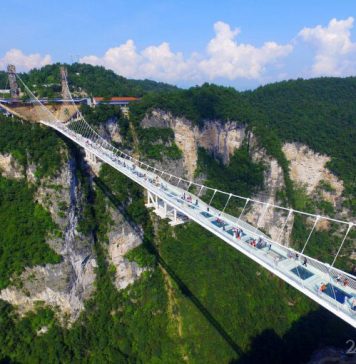 World’s Longest Glass-Bottomed Bridge