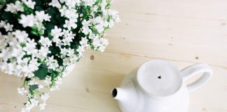 Budget Tips for Descaling a Tea Kettle