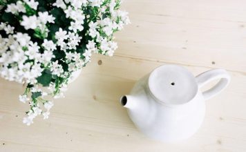 Budget Tips for Descaling a Tea Kettle