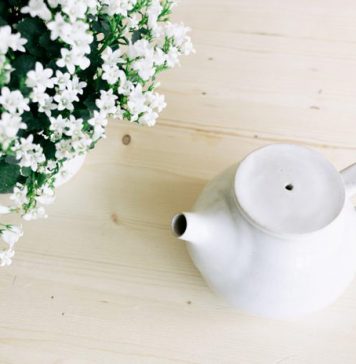 Budget Tips for Descaling a Tea Kettle