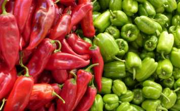 7 of the Best Vegetarian Foods for Hair Growth