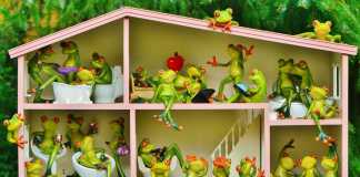 How to Burglar-Proof Your Home