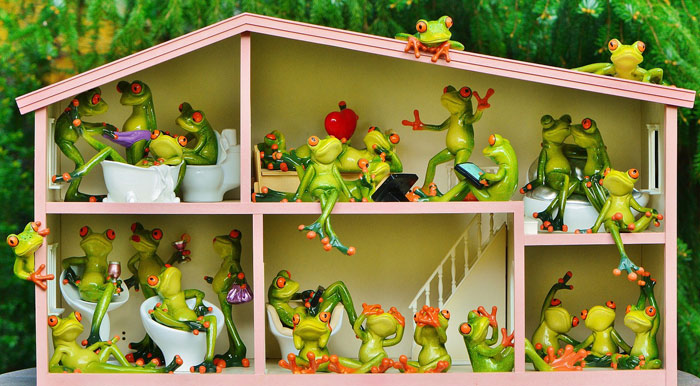 frogs-neighbour-home