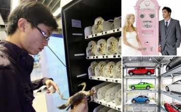 14 Weirdest & Coolest Vending Machines Ever