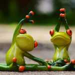 sport-frogs-fitness-yoga-weight