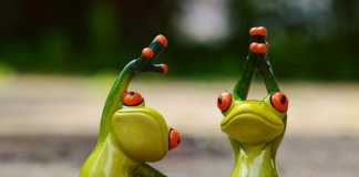 How to Build Muscle Without Using Weights