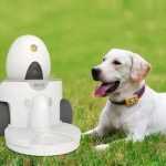 .-Sego-Pet-Feeding-Robot