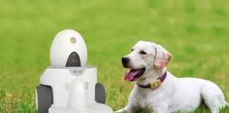 5 Most Useful Home Gadgets