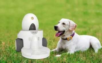 5 Most Useful Home Gadgets