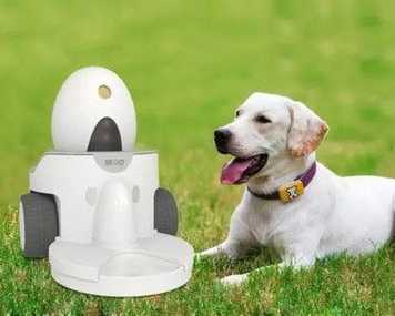 5 Most Useful Home Gadgets