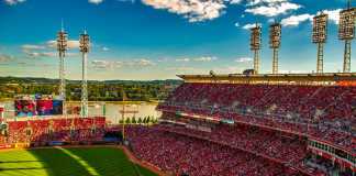 Team Tactics for a Sports Widow