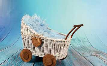 Best Double Stroller-Things to Know Before Making a Choice