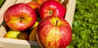 Can Apple Cider Vinegar Help With Weight Loss?