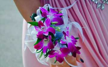 Pageant Dresses Trends This 2017