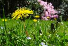 10 Technologies We Took from Animals & Nature