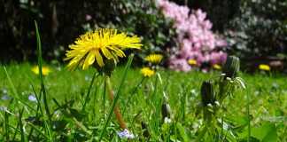 10 Technologies We Took from Animals & Nature