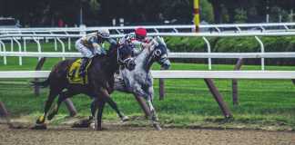 How to Prepare for a Day at the Races