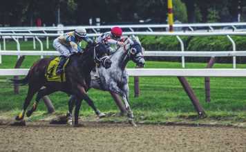 How to Prepare for a Day at the Races