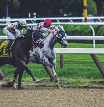 How to Prepare for a Day at the Races