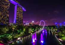 Travel News: Amazing Non-Touristy Places to Visit in Singapore