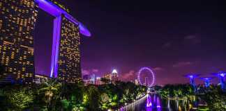 Travel News: Amazing Non-Touristy Places to Visit in Singapore