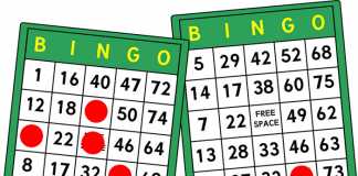 Online Bingo vs. City Casino