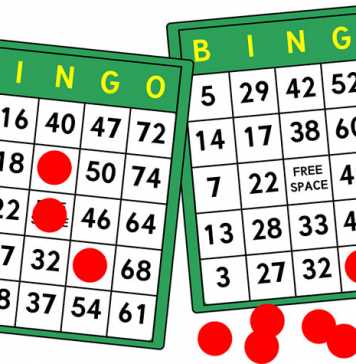 Online Bingo vs. City Casino