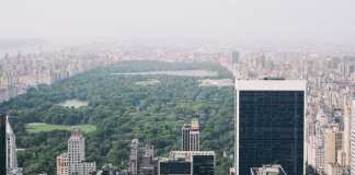 5 Things to Do in Central Park When Visiting New York City