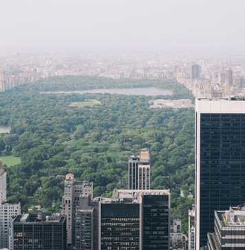 5 Things to Do in Central Park When Visiting New York City