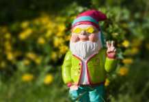 Spring Garden and Backyard Tips