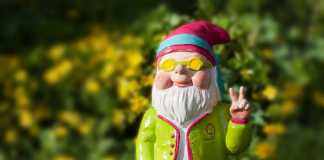 Spring Garden and Backyard Tips