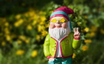 Spring Garden and Backyard Tips