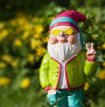 Spring Garden and Backyard Tips