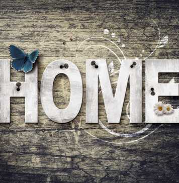 Home Decoration: 6 Types of Vinyl Wall Art Stickers to Know About