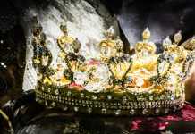 12 Surprising Facts about the Royals