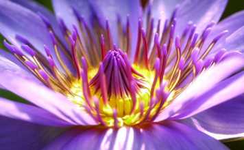 6 Gorgeous Flowers that are Reckoned as Affectionate Tokens of Love