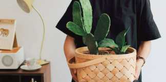 Moving Timeline Checklist