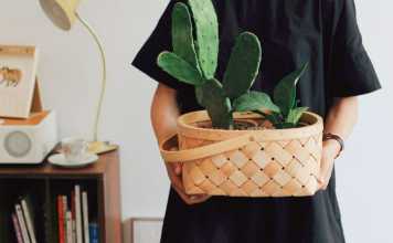 Moving Timeline Checklist