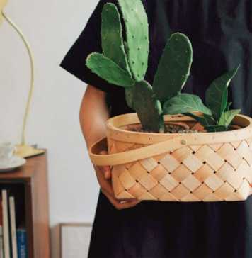 Moving Timeline Checklist