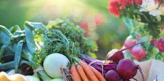 Why Dietary Fiber Is Essential