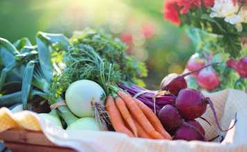 Why Dietary Fiber Is Essential