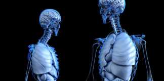 4 Ways to Take Care of Your Gut Health